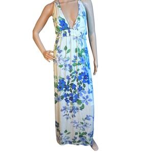 Love Stitch | Dresses | Nwt Love Stitch Blue Pineapple Print Cover Up Maxi  Dress | Poshmark
